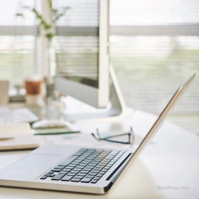 website services wordpress help (400 x 400 px)